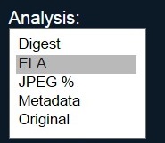 Fotoforensics Analysis